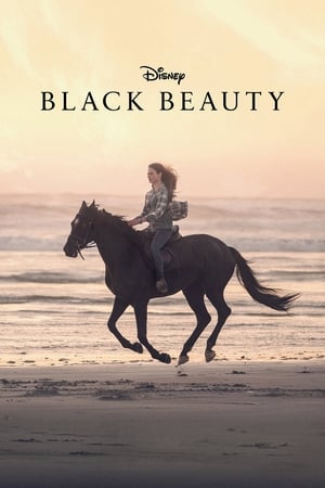 Black Beauty – Siyah İnci izle